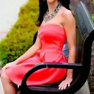 NWT - Express Fit and Flair Dress Color:
Watermelon Size: XS